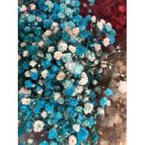 Blue Baby Breath | 60 Grams Dried Flower Wholesale 